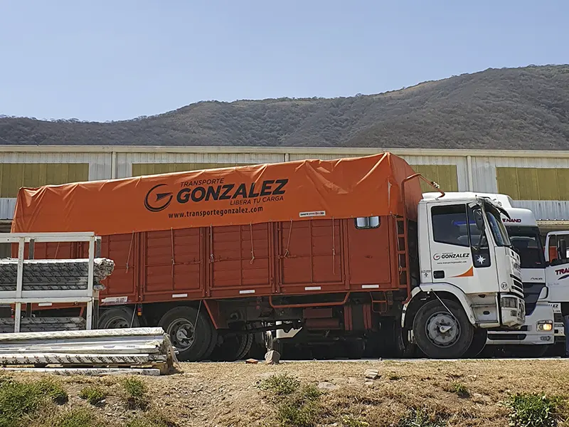 Transporte González • Los beneficios de elegir el transporte terrestre para tus envíos comerciales