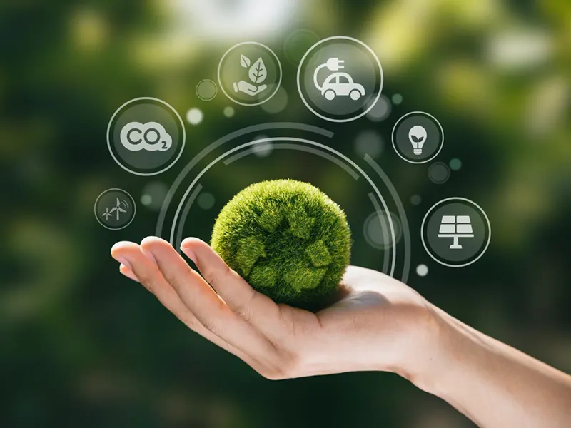 Transporte González • Cómo las empresas de transporte pueden reducir su huella de carbono Cómo las empresas de transporte pueden reducir su huella de carbono